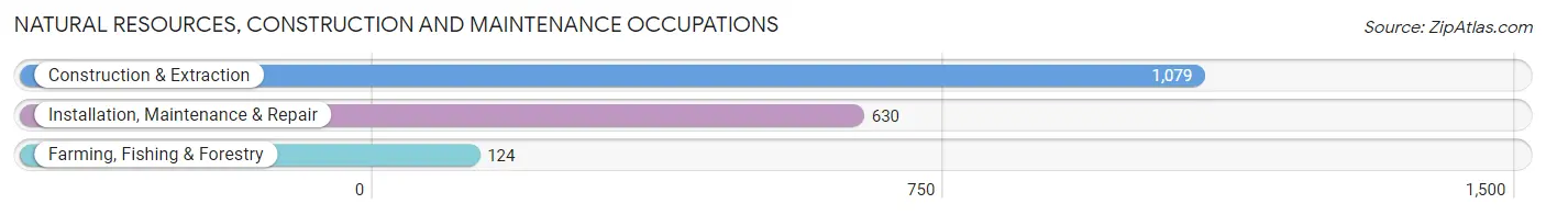 Natural Resources, Construction and Maintenance Occupations in Zip Code 60441