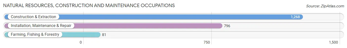 Natural Resources, Construction and Maintenance Occupations in Zip Code 60451