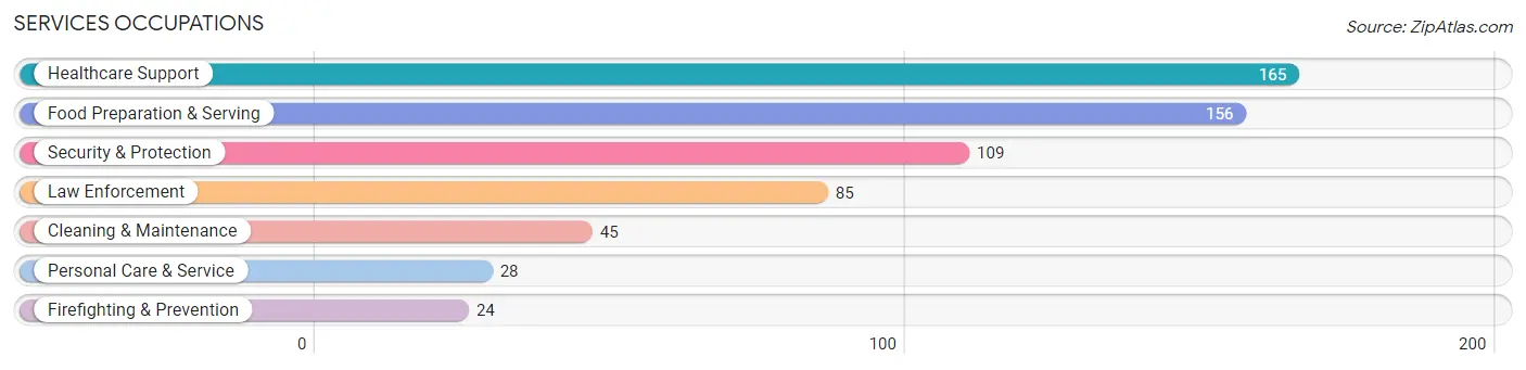 Services Occupations in Zip Code 60484