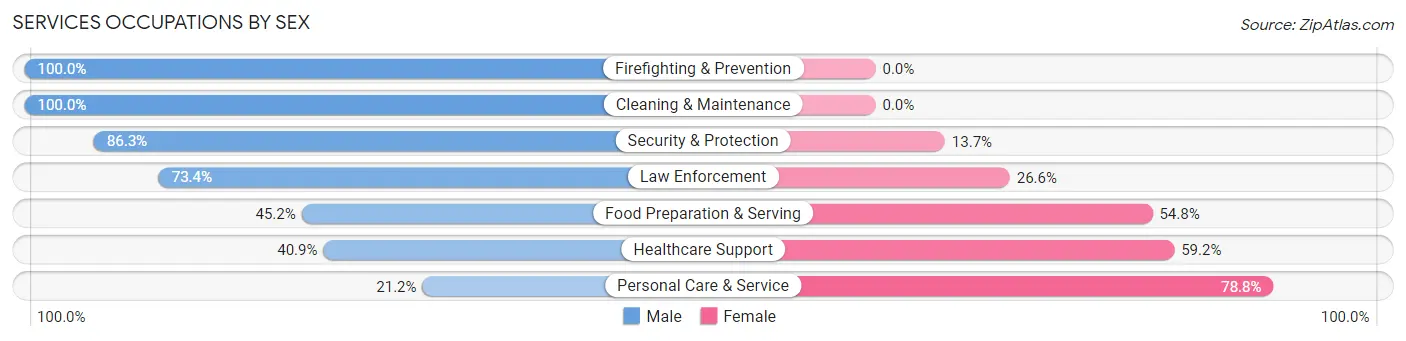 Services Occupations by Sex in Zip Code 60503