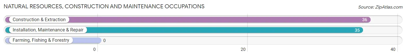 Natural Resources, Construction and Maintenance Occupations in Zip Code 60514