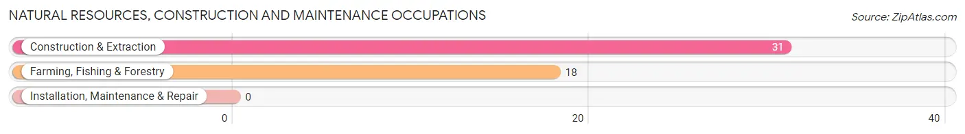 Natural Resources, Construction and Maintenance Occupations in Zip Code 60521