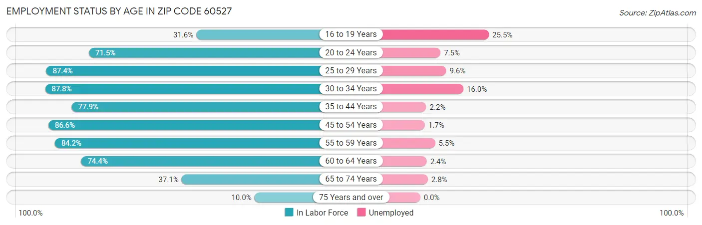 Employment Status by Age in Zip Code 60527