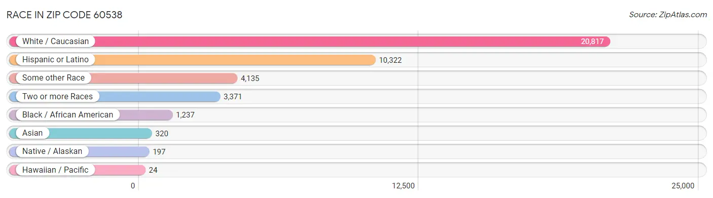 Race in Zip Code 60538