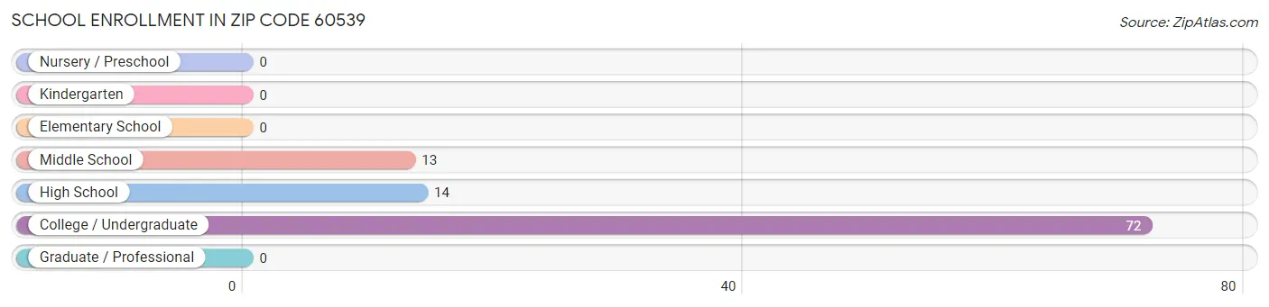 School Enrollment in Zip Code 60539