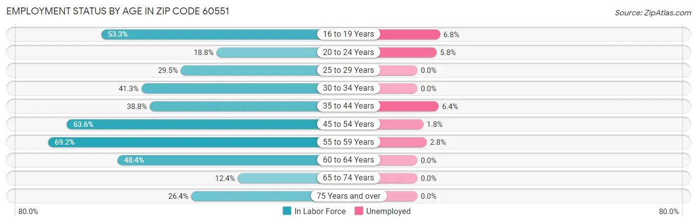 Employment Status by Age in Zip Code 60551