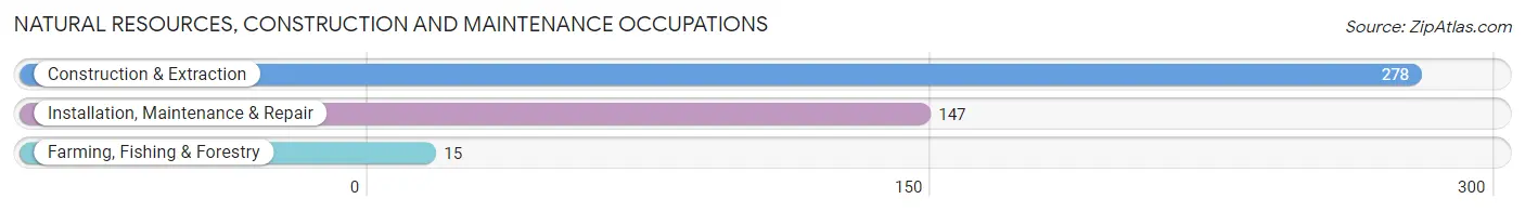 Natural Resources, Construction and Maintenance Occupations in Zip Code 60559