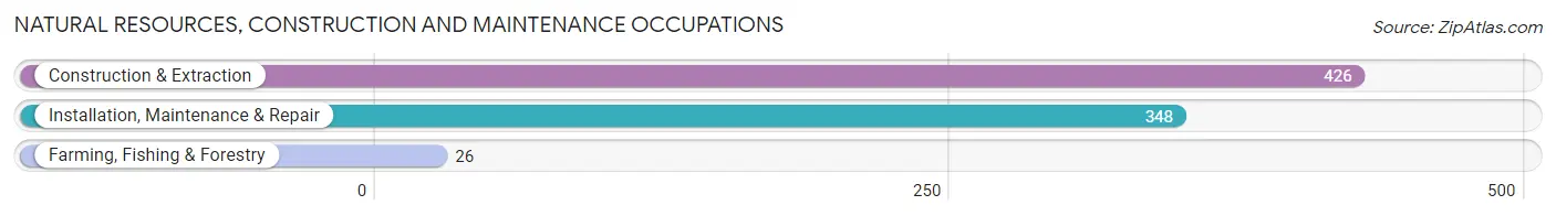 Natural Resources, Construction and Maintenance Occupations in Zip Code 60626