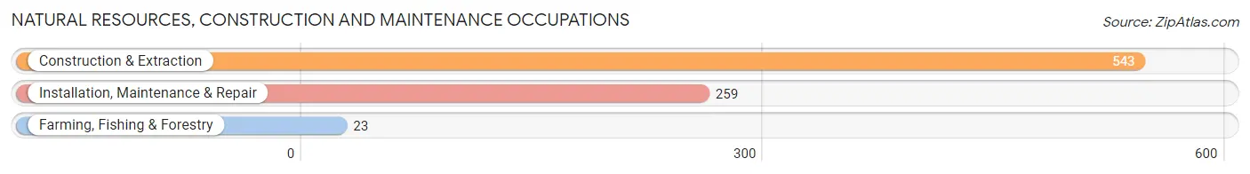 Natural Resources, Construction and Maintenance Occupations in Zip Code 60636