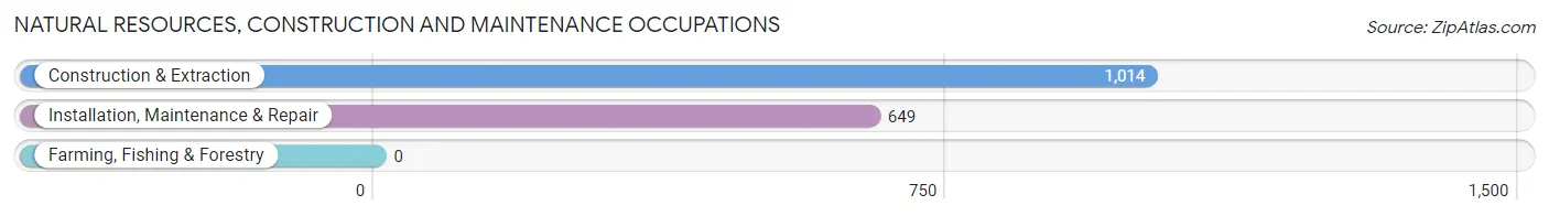 Natural Resources, Construction and Maintenance Occupations in Zip Code 60645