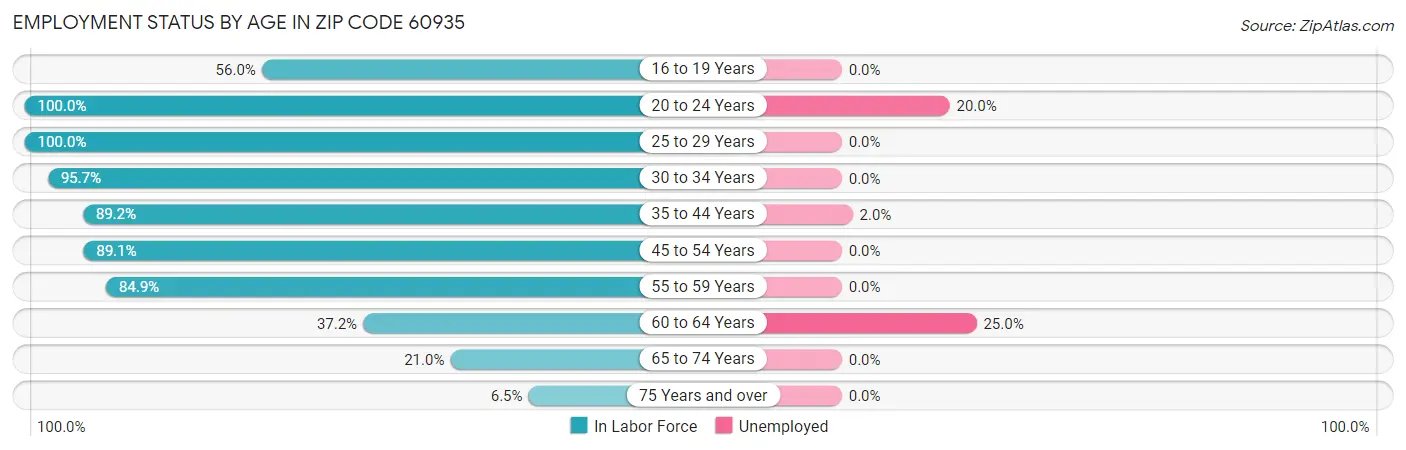 Employment Status by Age in Zip Code 60935