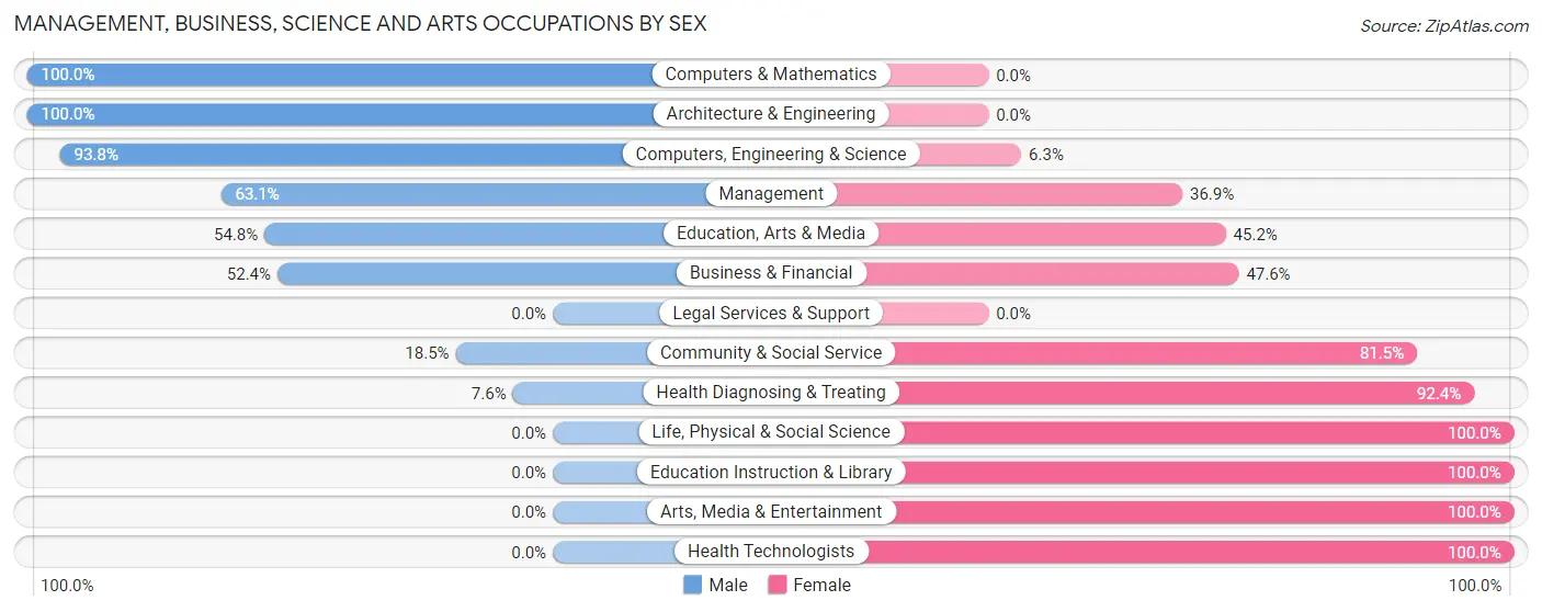 Management, Business, Science and Arts Occupations by Sex in Zip Code 60938