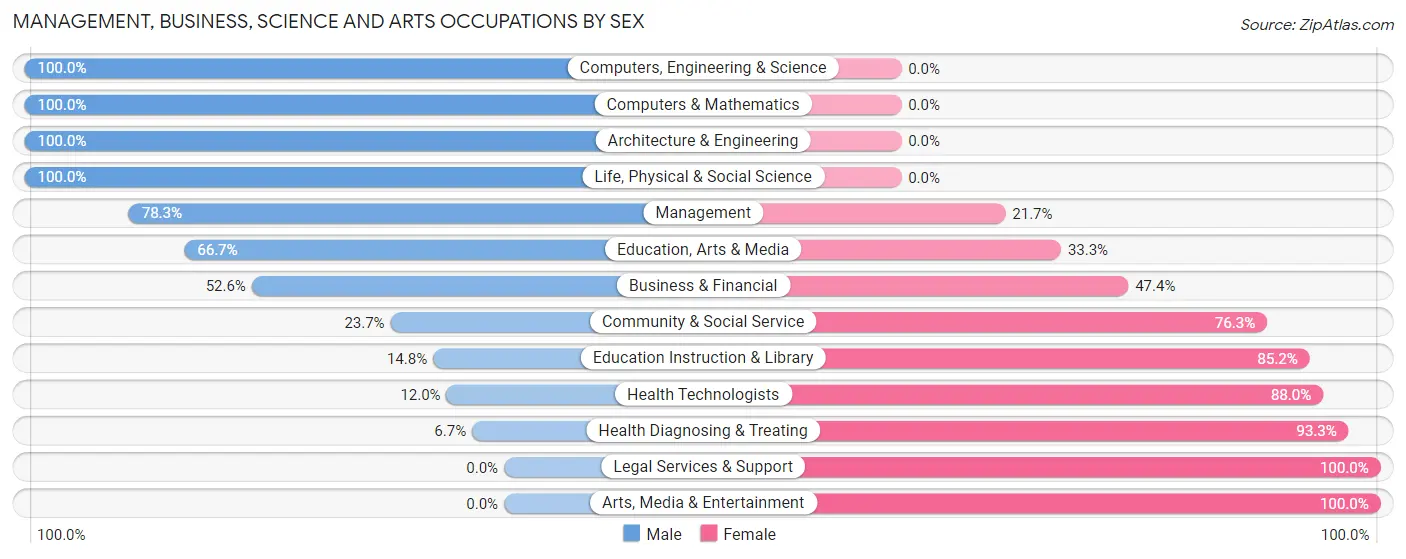 Management, Business, Science and Arts Occupations by Sex in Zip Code 60941