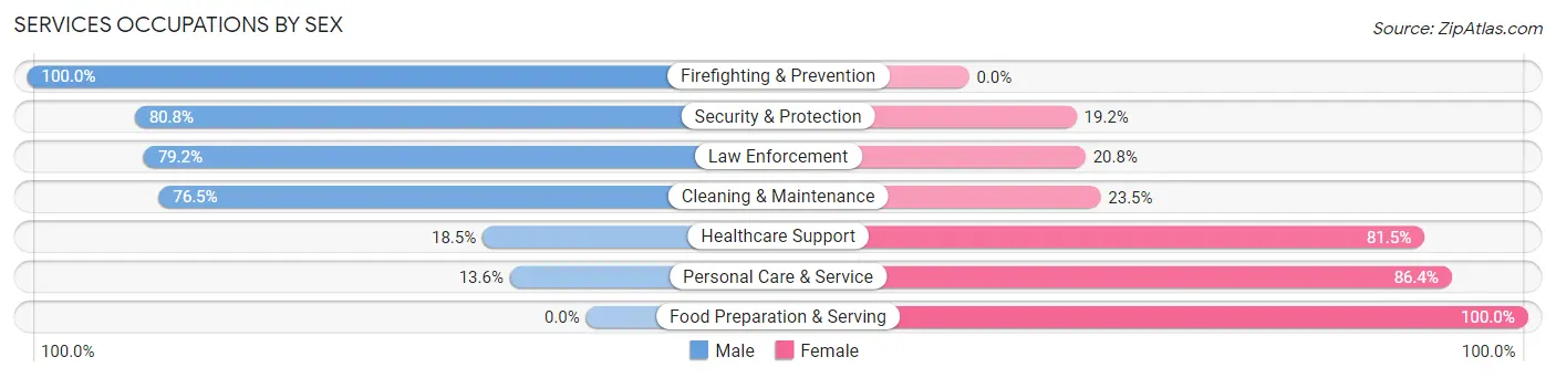 Services Occupations by Sex in Zip Code 60941