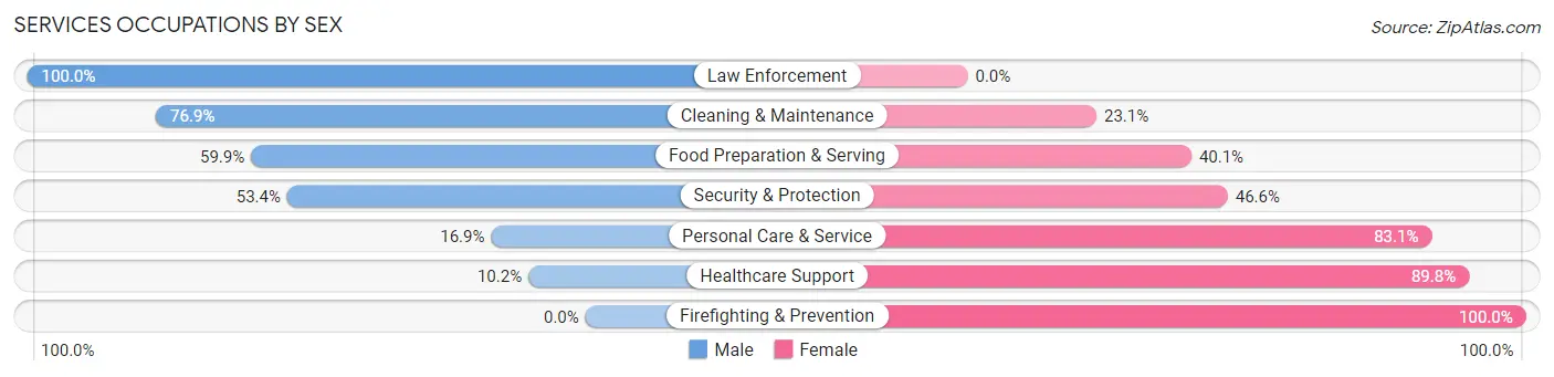 Services Occupations by Sex in Zip Code 61032