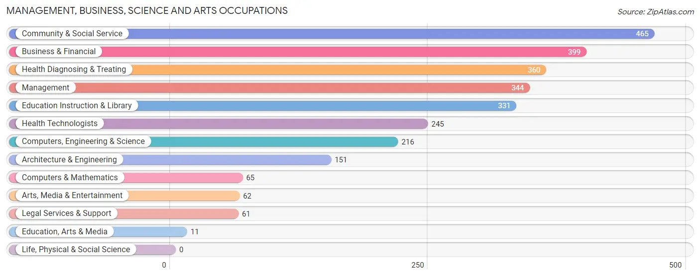 Management, Business, Science and Arts Occupations in Zip Code 61080