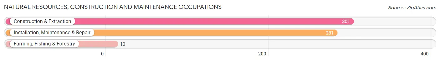 Natural Resources, Construction and Maintenance Occupations in Zip Code 61104