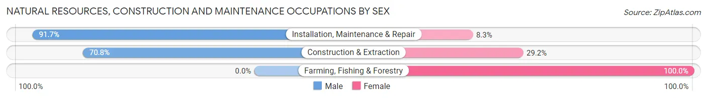 Natural Resources, Construction and Maintenance Occupations by Sex in Zip Code 61335