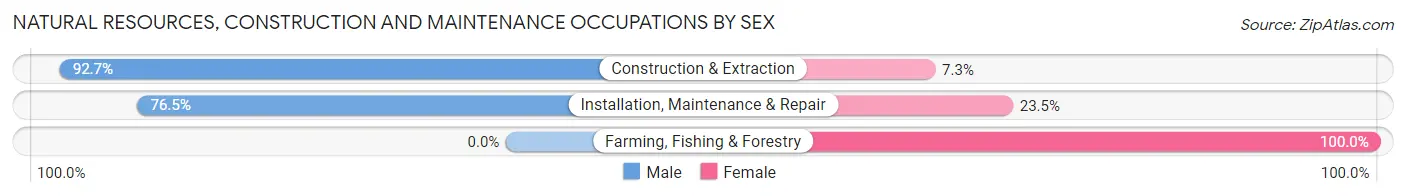 Natural Resources, Construction and Maintenance Occupations by Sex in Zip Code 61802