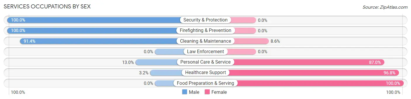 Services Occupations by Sex in Zip Code 61849