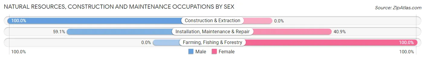 Natural Resources, Construction and Maintenance Occupations by Sex in Zip Code 61929