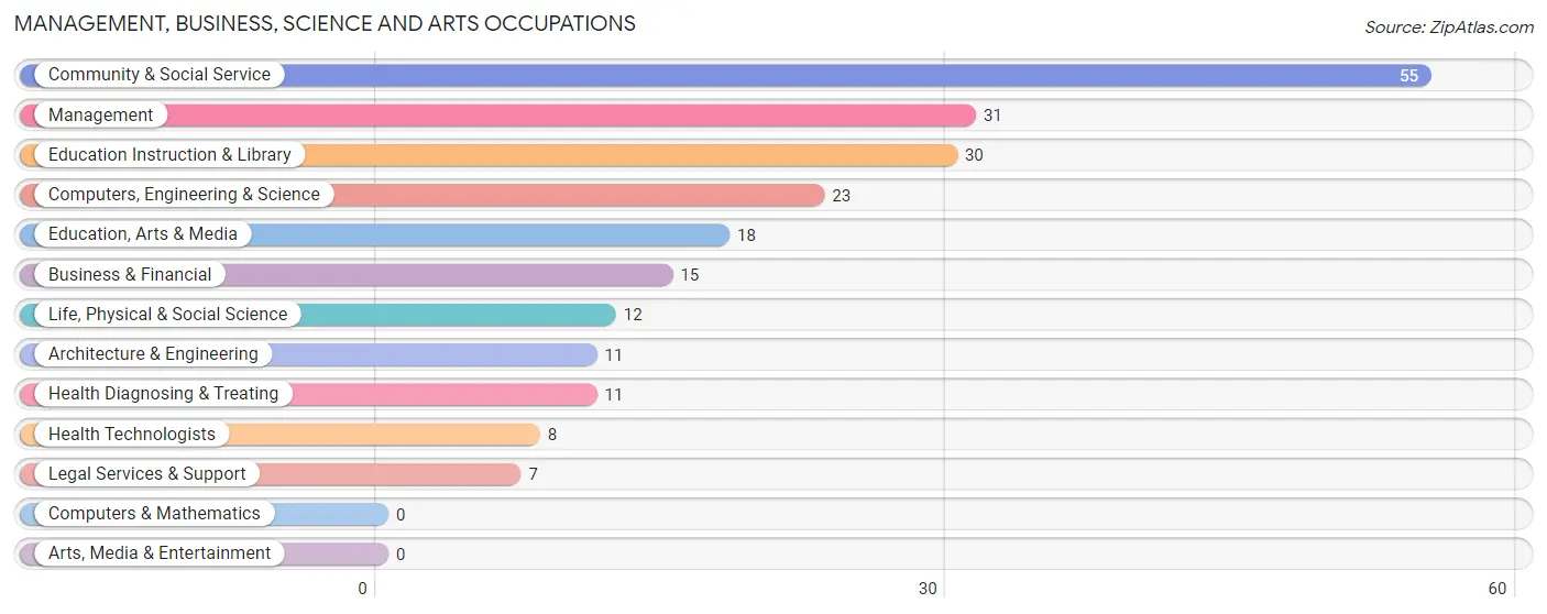 Management, Business, Science and Arts Occupations in Zip Code 62009