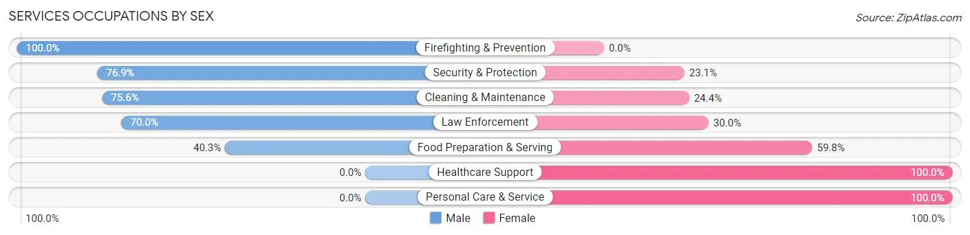 Services Occupations by Sex in Zip Code 62049