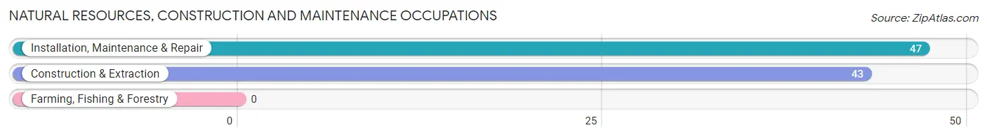 Natural Resources, Construction and Maintenance Occupations in Zip Code 62204