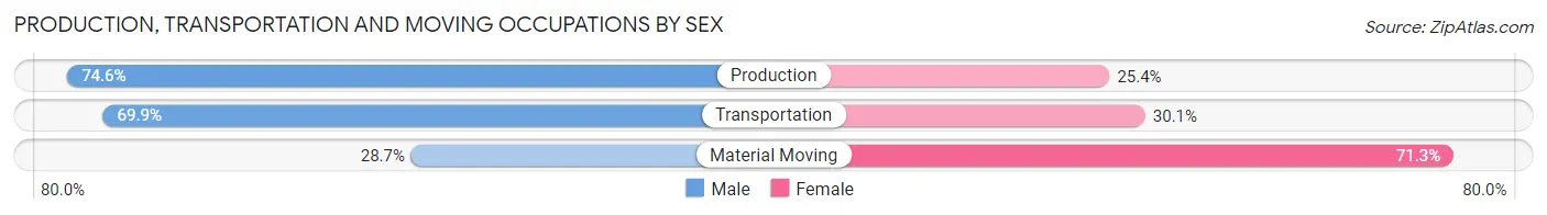 Production, Transportation and Moving Occupations by Sex in Zip Code 62204