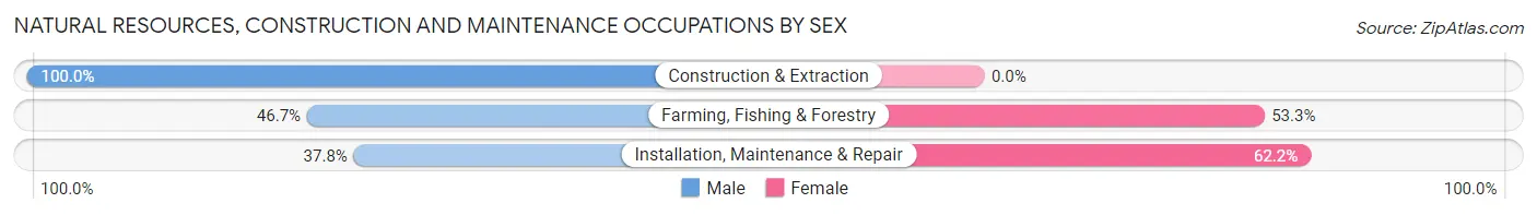 Natural Resources, Construction and Maintenance Occupations by Sex in Zip Code 62376