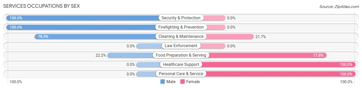 Services Occupations by Sex in Zip Code 62476