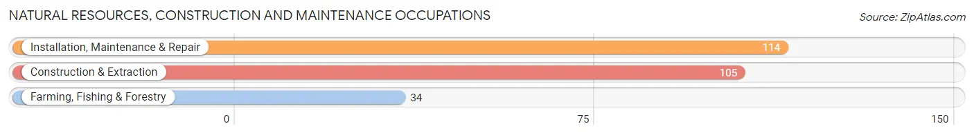 Natural Resources, Construction and Maintenance Occupations in Zip Code 62684