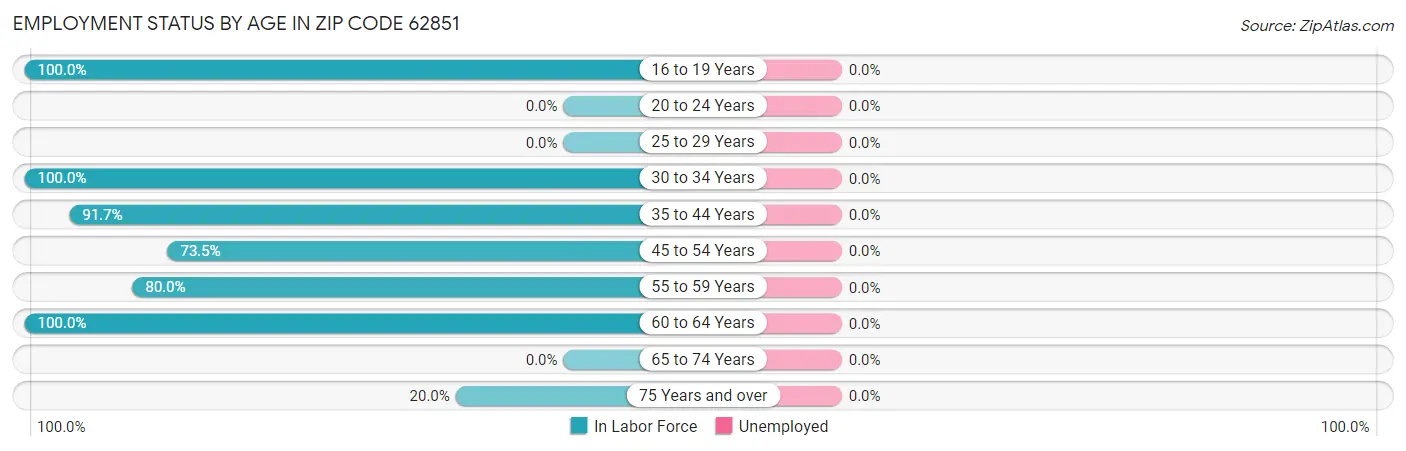 Employment Status by Age in Zip Code 62851