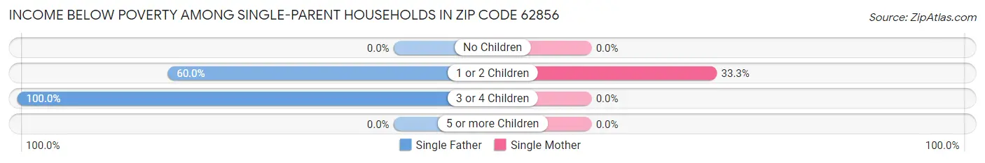 Income Below Poverty Among Single-Parent Households in Zip Code 62856