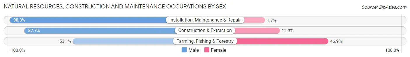 Natural Resources, Construction and Maintenance Occupations by Sex in Zip Code 62864