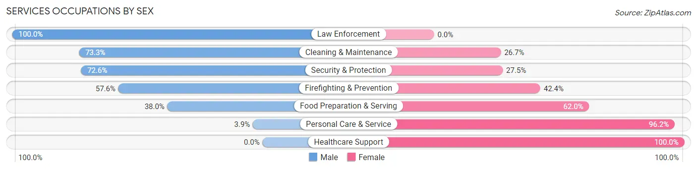 Services Occupations by Sex in Zip Code 62869