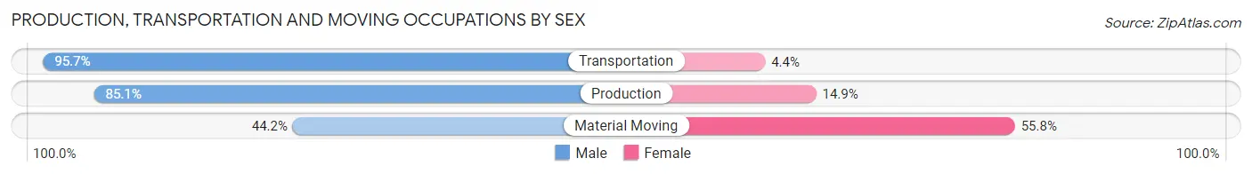 Production, Transportation and Moving Occupations by Sex in Zip Code 62899