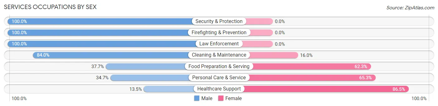 Services Occupations by Sex in Zip Code 63017