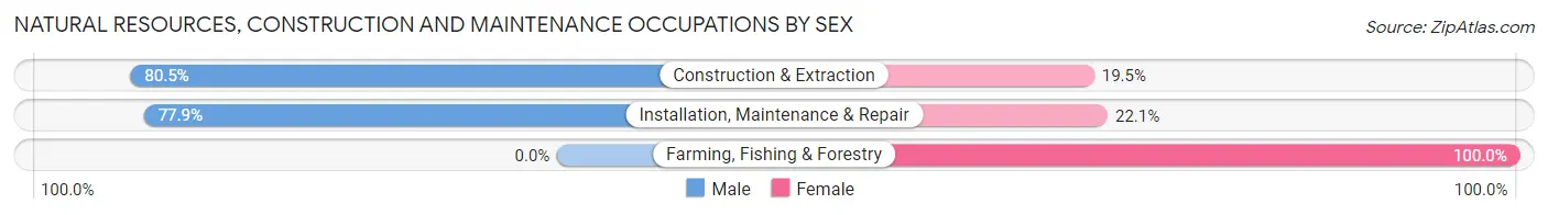 Natural Resources, Construction and Maintenance Occupations by Sex in Zip Code 63019