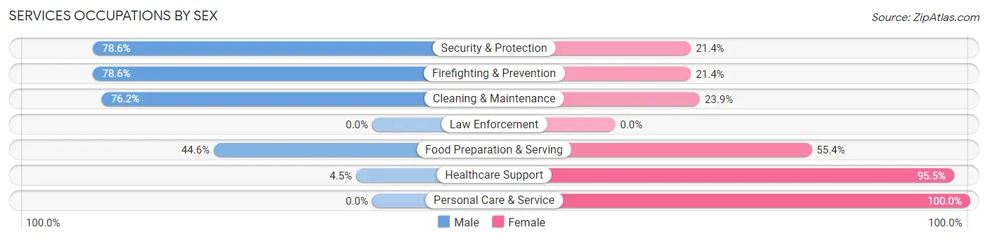 Services Occupations by Sex in Zip Code 63070