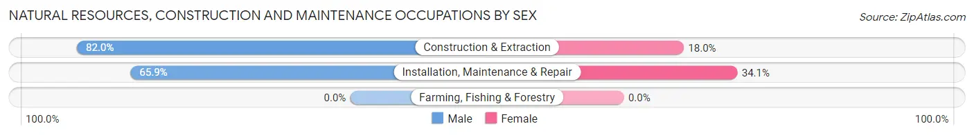 Natural Resources, Construction and Maintenance Occupations by Sex in Zip Code 63105