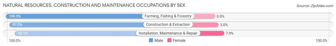 Natural Resources, Construction and Maintenance Occupations by Sex in Zip Code 63122