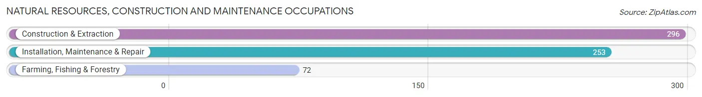 Natural Resources, Construction and Maintenance Occupations in Zip Code 63122