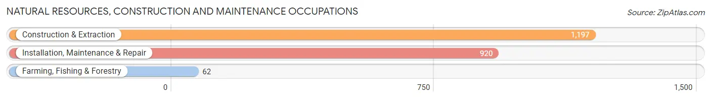 Natural Resources, Construction and Maintenance Occupations in Zip Code 63123