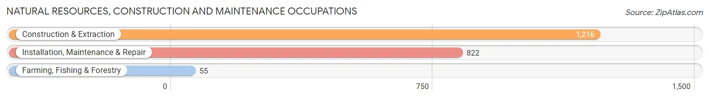 Natural Resources, Construction and Maintenance Occupations in Zip Code 63301