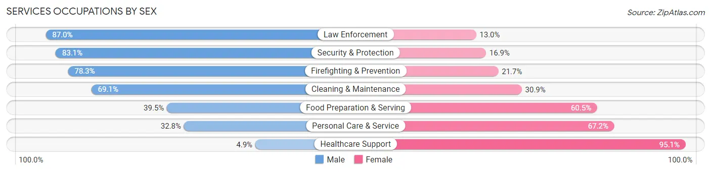 Services Occupations by Sex in Zip Code 63376