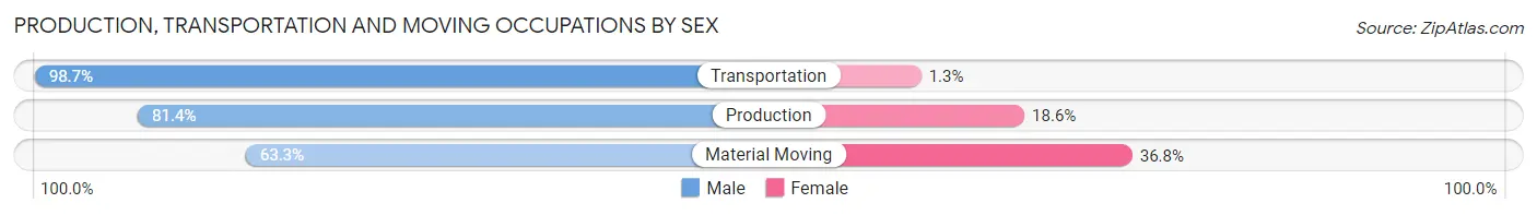 Production, Transportation and Moving Occupations by Sex in Zip Code 63379