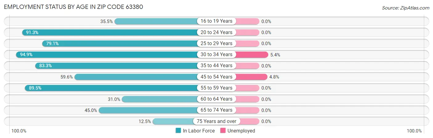 Employment Status by Age in Zip Code 63380