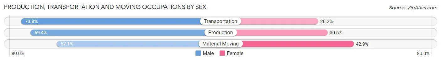 Production, Transportation and Moving Occupations by Sex in Zip Code 63380
