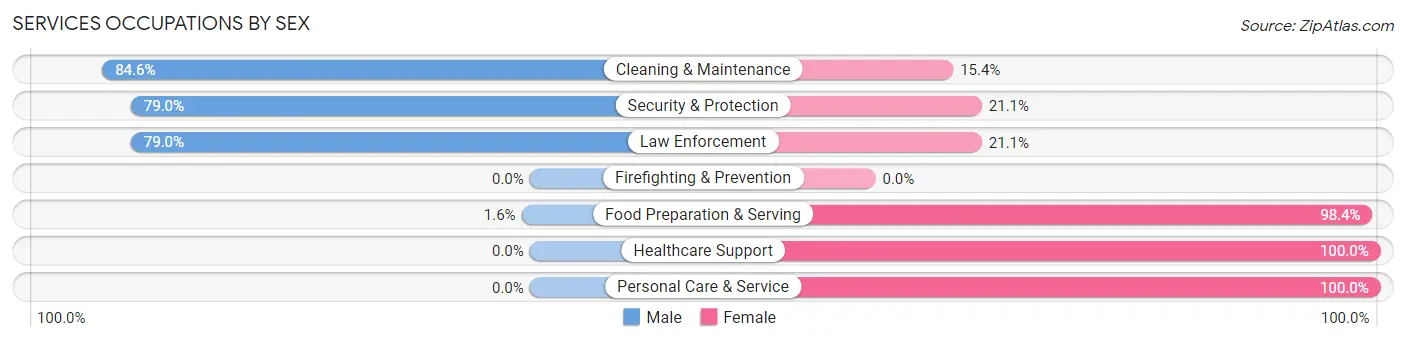 Services Occupations by Sex in Zip Code 63546